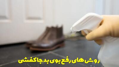  روش های رفع بوی بد جاکفشی + داخل جاکفشی چی بندازم خوشبو بشه و بو نگیره؟