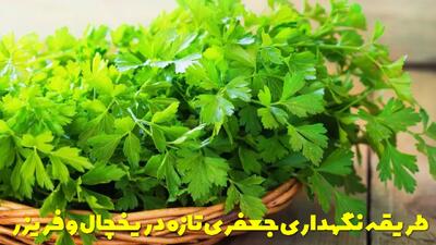  طریقه نگهداری جعفری تازه در یخچال و فریزر برای مدت طولانی