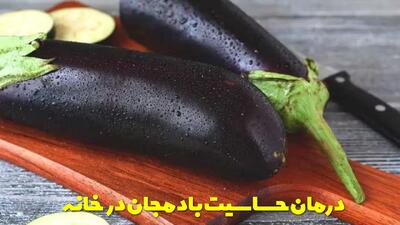  درمان خانگی حساسیت به بادمجان | برای حساسیت به بادمجان چه کنیم؟