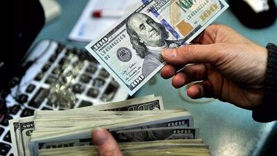 ۹۸ درصد ارز پتروشیمی‌ها برگشت