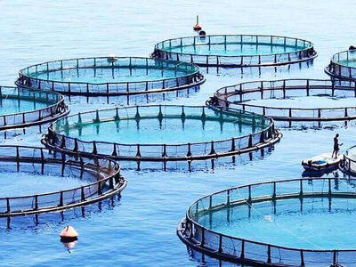 وقتی “خزر” به مزرعه تبدیل شد!