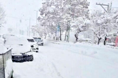 شادی زمستانی مردم فریدونشهر پس از بارش برف