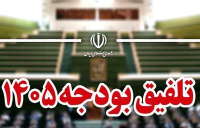 دلایل رد کلیات بودجه ۱۴۰۵ اعلام شد