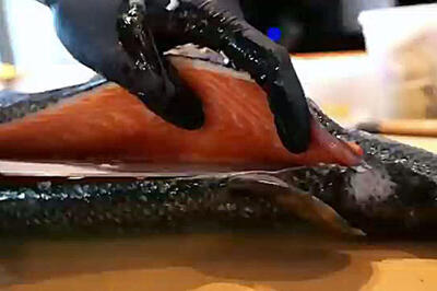 مهارت استادانه برش ماهی تن و سالمون در ژاپن