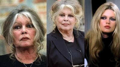  بریژیت باردو، بازیگر و خواننده مشهور فرانسه در سن ۹۱ سالگی درگذشت.