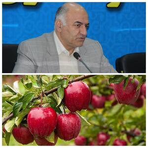  ثبت « جشنواره سیب بروجرد» در تقویم رویدادهای گردشگری کشور