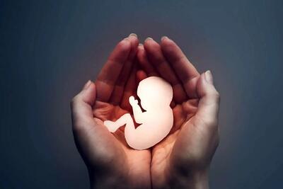  این ۲۳ استان زیر خط باروری قرار دارند