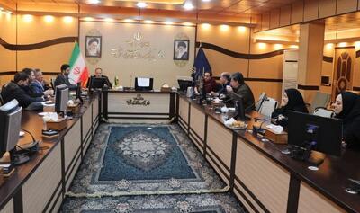  المپیاد ملی هنر فرصتی برای شناسایی و معرفی ظرفیت‌های زنجان است