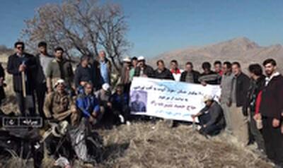  پاکسازی ۲۰۰ هکتار جنگل بلوط از آفت لورانتوس