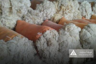 «نتوس» از تجدید ارزیابی افزایش سرمایه می دهد