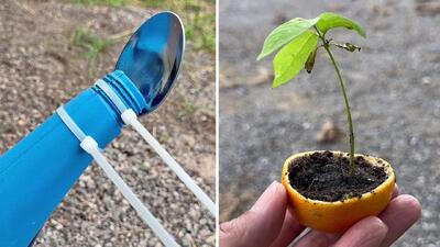  ۱۲ ترفند برای باغبانی حرفه ای؛ اینجوری کار های باغ برات راحتر میشه!