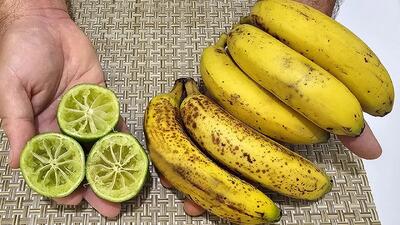 فقط موز را با لیمو مخلوط کنید / طرز تهیه دسر متفاوت با موز و لیمو