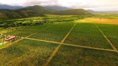 کشاورزی ژاپن در مسیر چندملیتی شدن