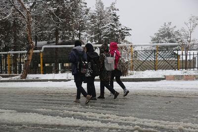 مدارس ایلام غیرحضوری شد/ فعالیت ادارات با ۲ ساعت تأخیر آغاز می‌شود