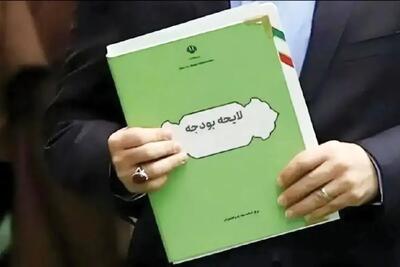 انتقاد یک اقتصاددان از لایحه بودجه ۱۴۰۵؛ این بودجه تشدید بی‌عدالتی است