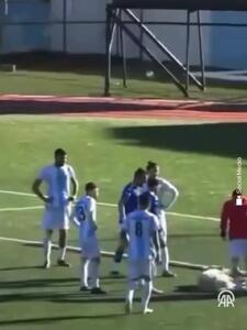 خوابیدن یک سگ در محوطه جریمه زمین فوتبال!