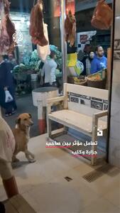  ویدئویی پربازدید از دست دادن یک سگ با قصاب