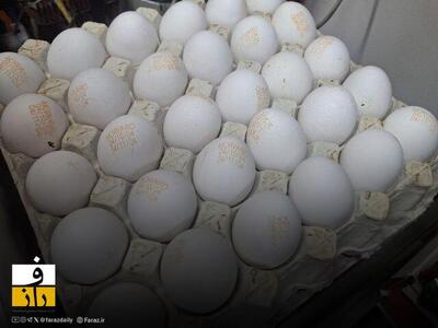  قیمت تخم‌مرغ به ۳۰۰ هزار تومان رسید | سفره هایی که گران شدند