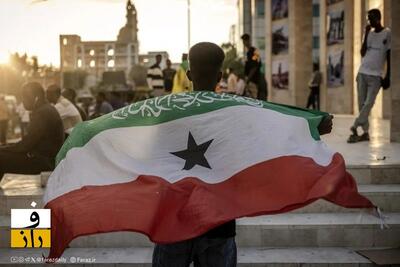  مصر و سومالی‌ لند | درخواست قاهره برای نشست اضطراری اتحادیه آفریقا