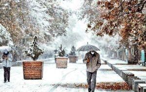 سه موج بارشی در راه است | هشدار برف و یخبندان در این استان ها + نقشه