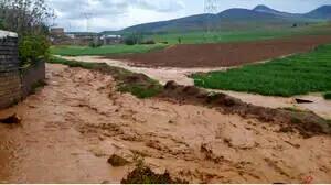 پیدا شدن جسد دو جوان غرق‌شده در سد و رودخانه سرپری دهدشت