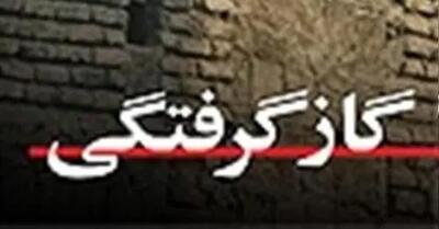  مرگ کودک اتباع در اثر مسمومیت با گاز CO
