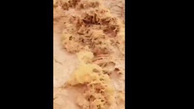  فیلم / انسداد یک باند از جاده اهواز غیزانیه