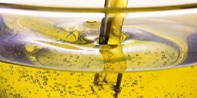 کمبود روغن خام در کشور ناشی از عدم پرداخت به موقع ارز است