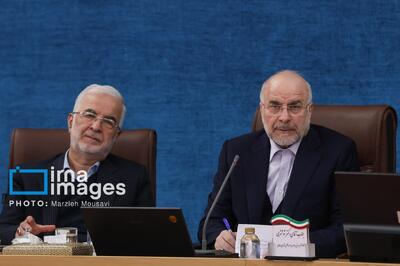 قالیباف: مخالف دخالت نمایندگان در انتصابات هستم/ ضرورت دور شدن شوراها از موضوعات سیاسی