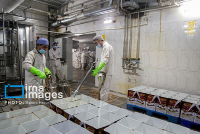 سیاست‌های کلان اقتصادی، بنگاه و نیروی کار را همزمان تضعیف کرده است