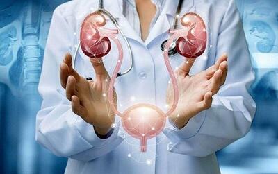  راهنمای انتخاب متخصص اورولوژی در مشهد؛ معرفی یک مرکز تخصصی معتبر