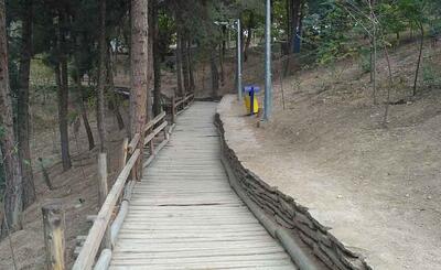  مدیریت پارک جنگلی «چشمه سفید» کرمانشاه به شهرداری واگذار می‌شود