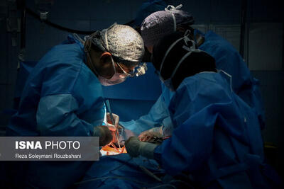  اعضای بدن یکی از خبرنگاران چهارمحال و بختیاری اهدا شد