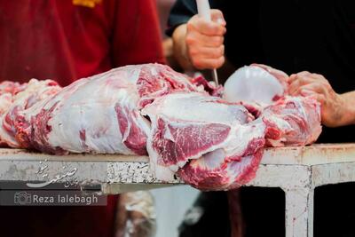 عقب‌نشینی قیمت‌ها در پروتئین؛ گوساله وارداتی به غرفه‌ها رسید