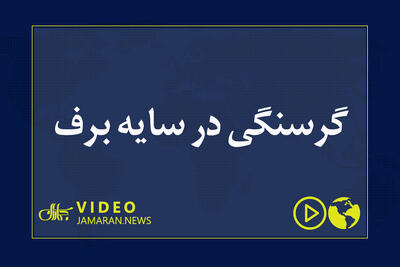  گرسنگی در سایه برف