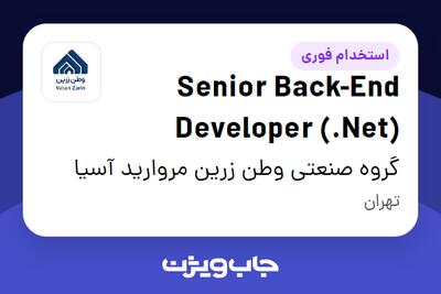  استخدام Senior Back-End Developer (.Net) در گروه صنعتی وطن زرین مروارید آسیا