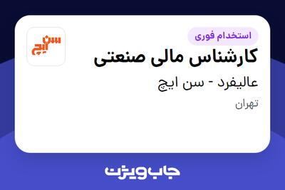  استخدام کارشناس مالی صنعتی در عالیفرد - سن ایچ