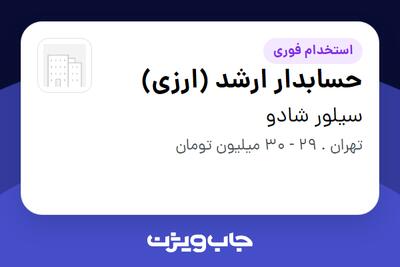  استخدام حسابدار ارشد (ارزی) در سیلور شادو