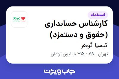  استخدام کارشناس حسابداری (حقوق و دستمزد) در کیمیا گوهر
