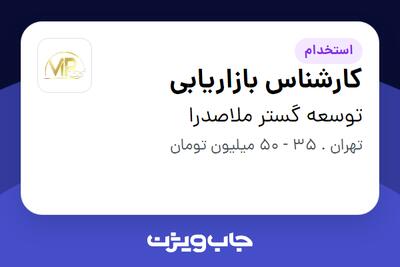  استخدام کارشناس بازاریابی در توسعه گستر ملاصدرا