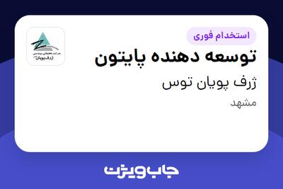  استخدام توسعه دهنده پایتون در ژرف پویان توس