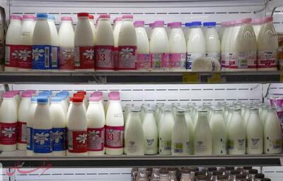 دهن کجی شیر به مصوبات!