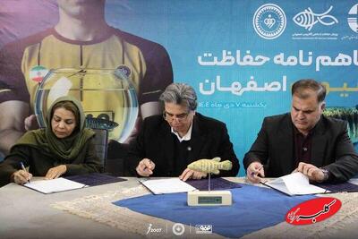 تفاهم‌نامه همکاری سپاهان و اداره کل محیط زیست برای حفاظت از ماهی در حال انقراض آفانیوس - کلبه سرگرمی