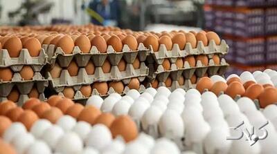 تخم مرغ با این قیمت گرانفروشی است؛ بالاتراز این عدد نخرید - مجله اینترنتی کولاک