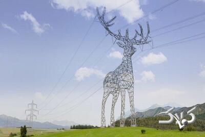 حیواناتی که خطوط برق را حمل خواهند کرد! | عکس - مجله اینترنتی کولاک