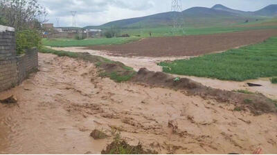 پیدا شدن جسد دو جوان غرق‌شده در سد و رودخانه سرپری دهدشت