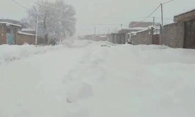 فیلم/ بارش ۶۰ سانتی متری برف در یکی از روستاهای چهارمحال و بختیاری