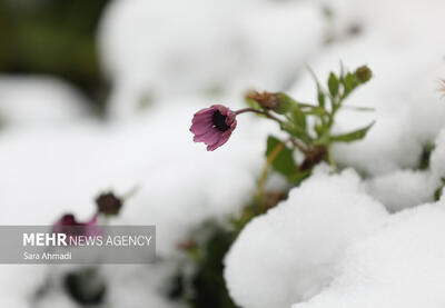 هشدار بارش‌های سیل‌آسا و افت شدید دما در ۱۵ استان کشور