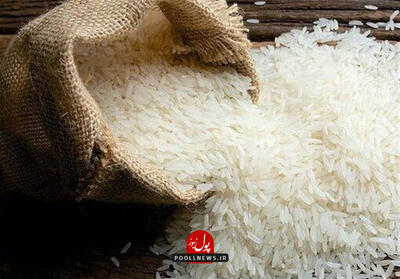 بلاتکلیفی برنج‌های وارداتی؛ سرنوشت هزاران تن کالا پیش از آزادسازی ارز چه شد؟