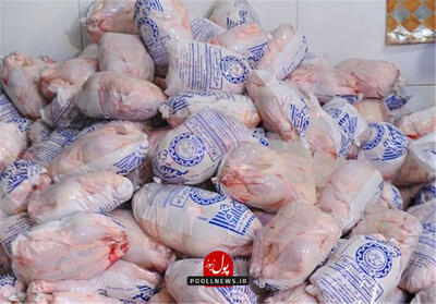 مرغ ۱۲۵ هزار تومانی به بازار آمد؛ آغاز توزیع مرغ منجمد تنظیم‌بازاری در تهران